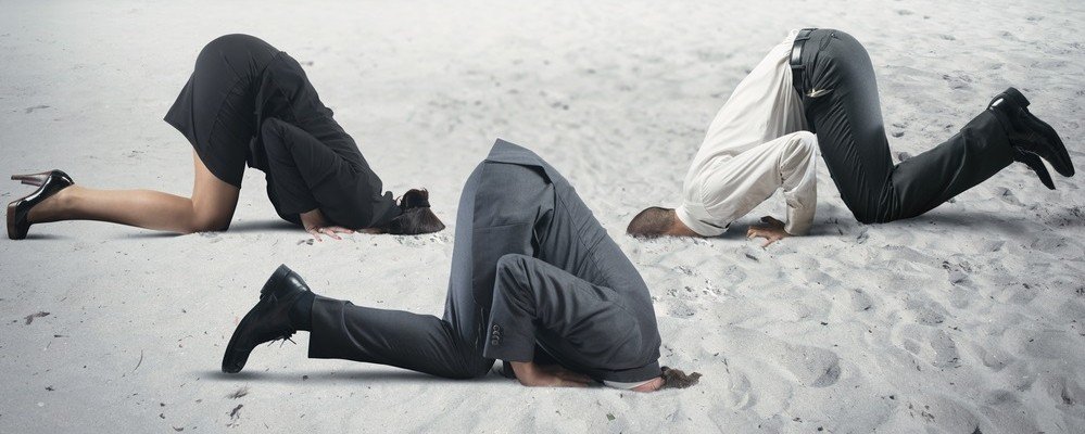 Image: Want to write a great business book, seek feedback.